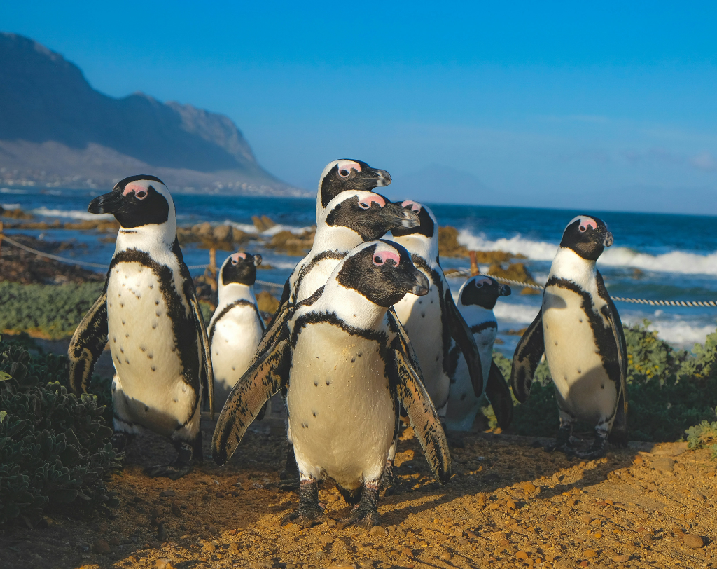 South Africa
